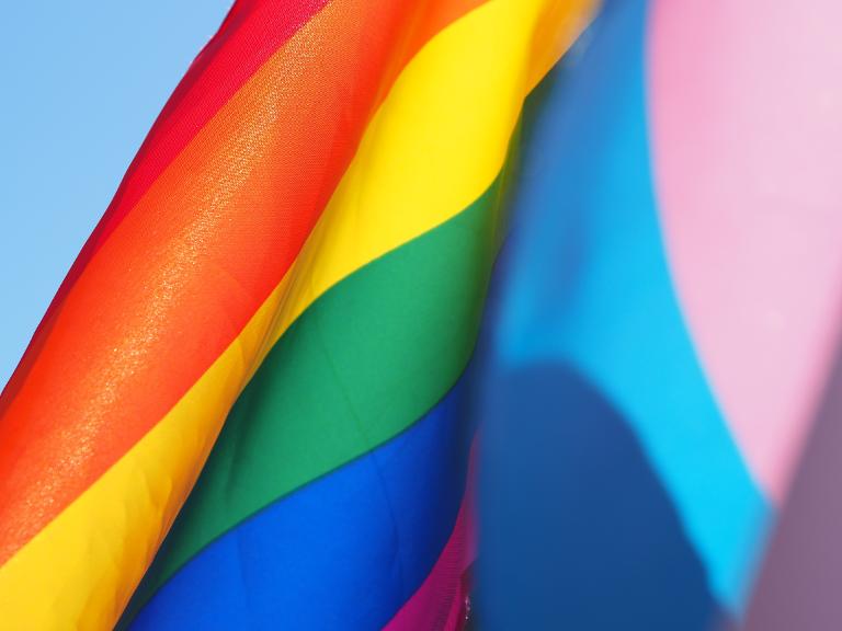 pride flag pride flag