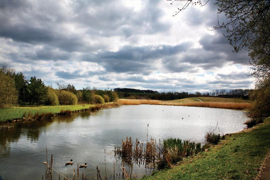 Hetton Lyons Hetton Lyons