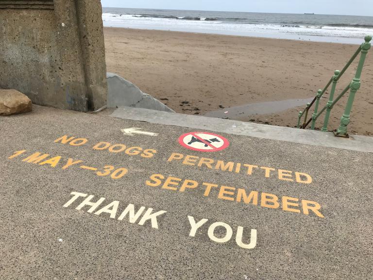 Dog exclusion signage - Seaburn Beach