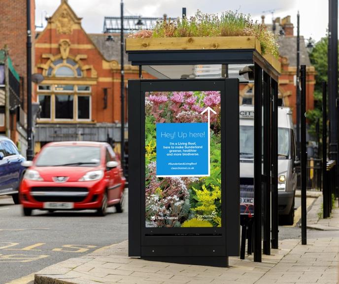 Living roof bus stops in bloom