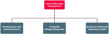 team structure for business development