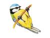 Blue Tit