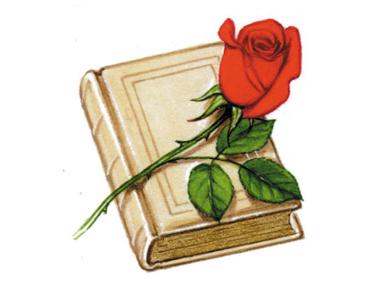 Bible and rose