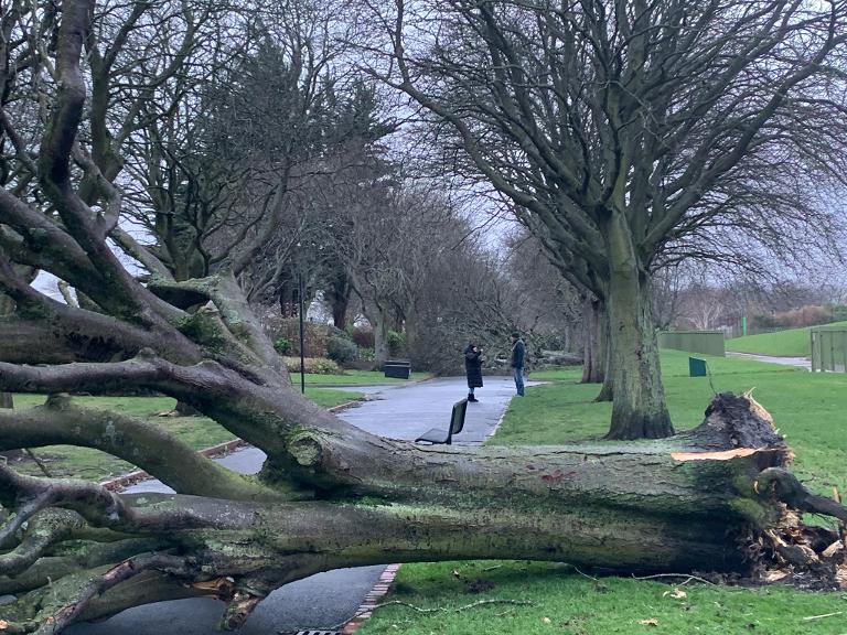 Storm image for risk register