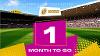Rugby World Cup - one month to go graphic