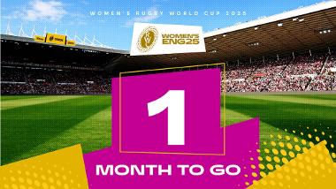 Rugby World Cup - one month to go graphic
