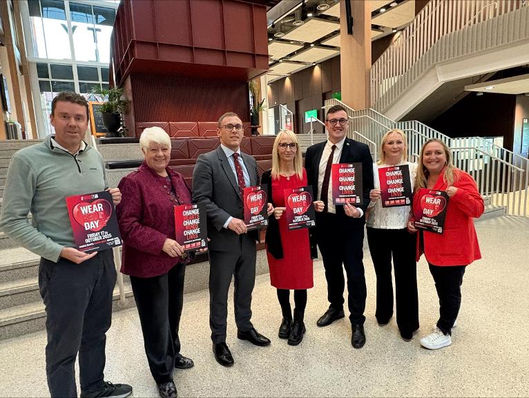 Sunderland City Council's Cabinet which is backing this year's Wear Red Day